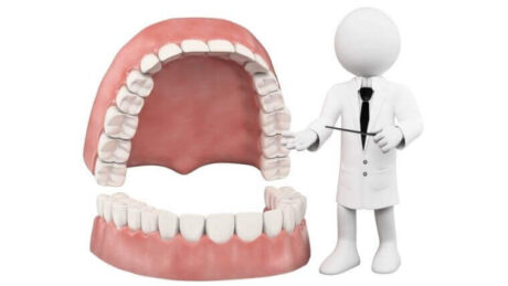 歯医者が歯の説明をしているイメージ