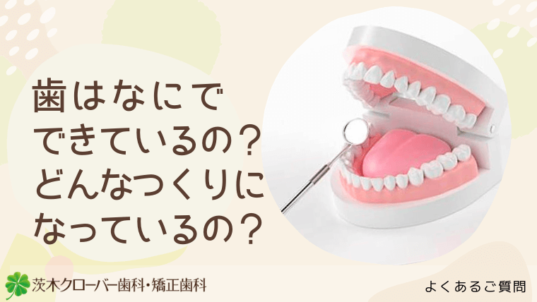 歯はなにでできているの？どんなつくりになっているの？