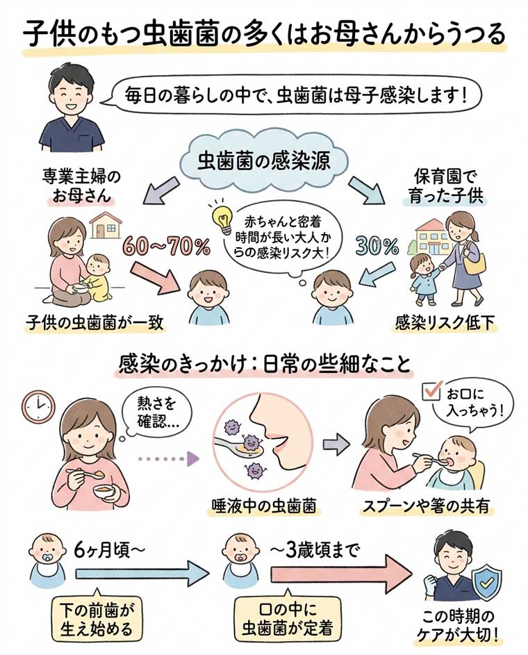 子供のもつ虫歯菌の多くはお母さんからうつるの図解