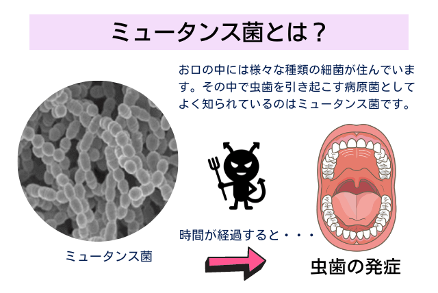 ミュータンス菌とは