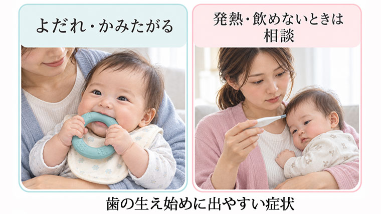 歯の生え始めに出やすい症状