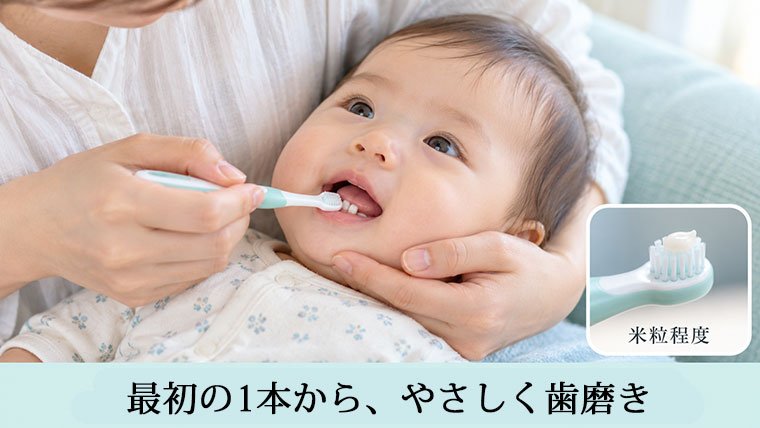 最初の乳歯