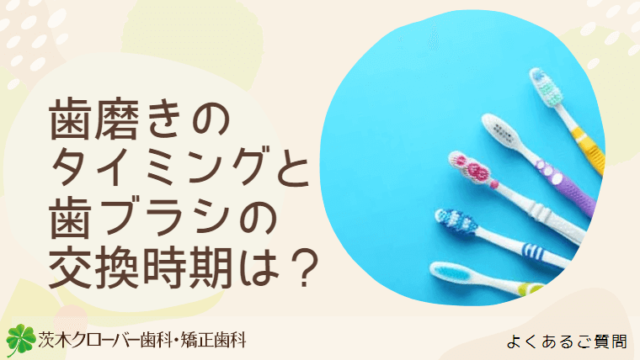 歯磨きのタイミングと歯ブラシの交換時期は？