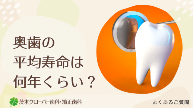 奥歯の平均寿命は何年くらい？