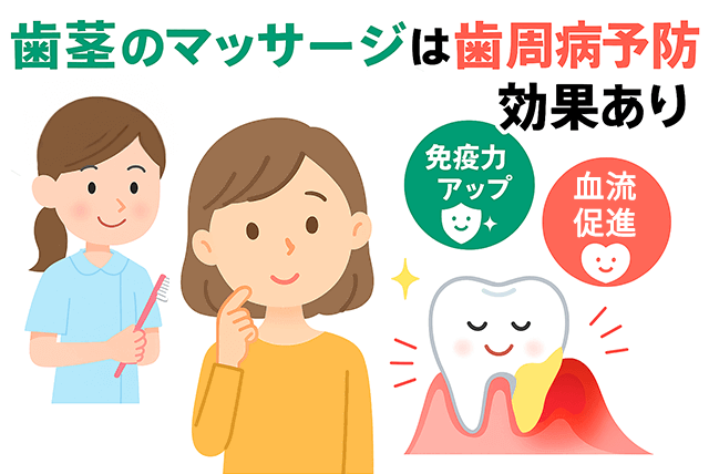 歯茎マッサージは歯周病予防に効果あり