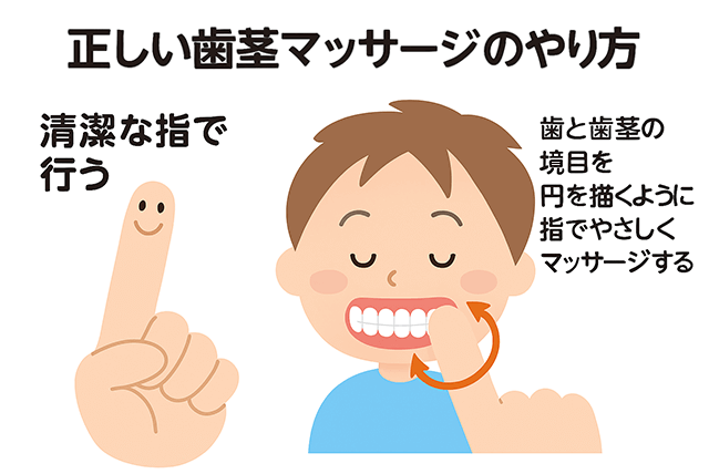 正しい歯茎マッサージのやり方