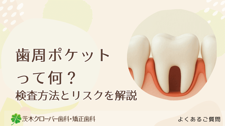 歯周ポケットって何?検査方法とリスクを解説