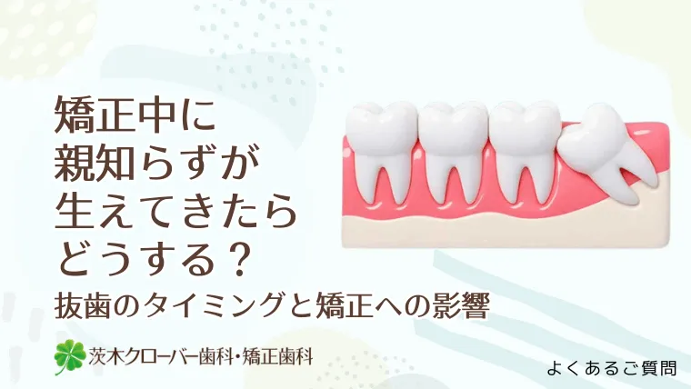 矯正中に親知らずが生えてきたらどうする？抜歯のタイミングと矯正への影響