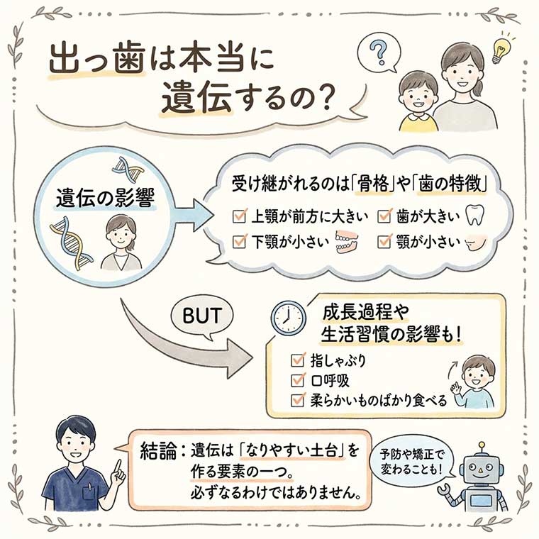 出っ歯は本当に遺伝するの？の図解