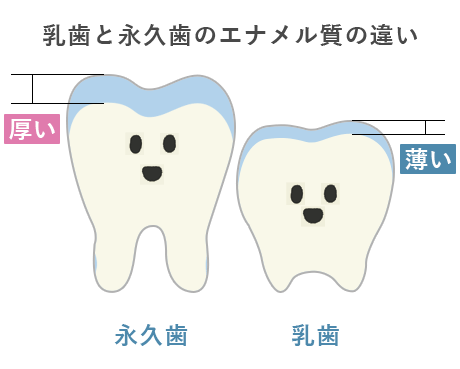 乳歯と永久歯のエナメル質の違い